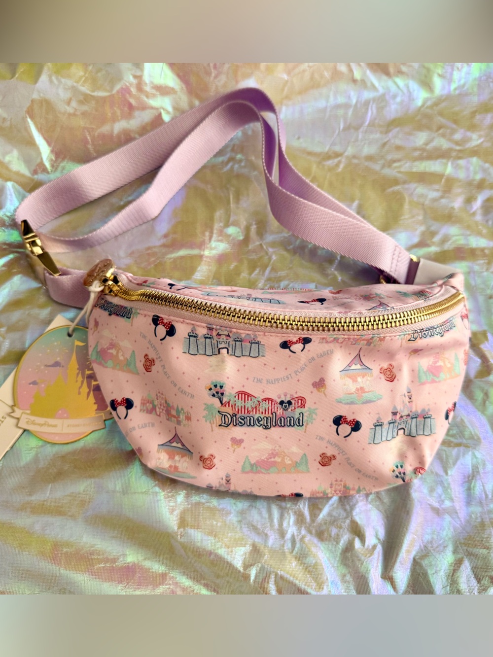 SCL x Disney Parks Disneyland Classic Fanny Pack